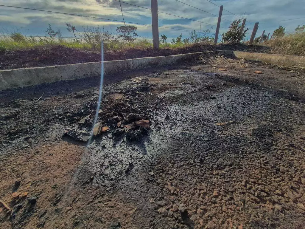 (Foto: Divulgação) 