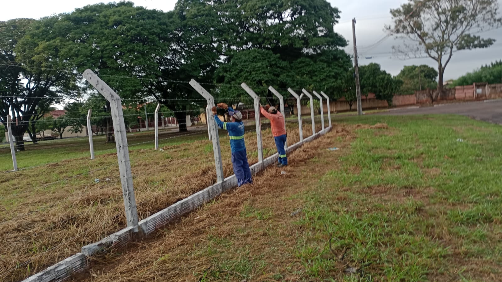 Foto:Divulgação