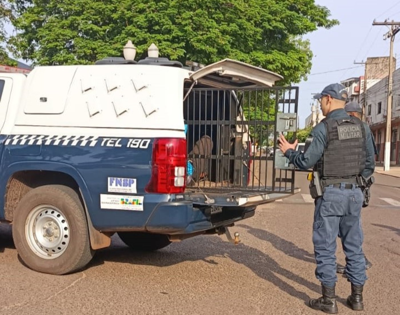 Polícia
